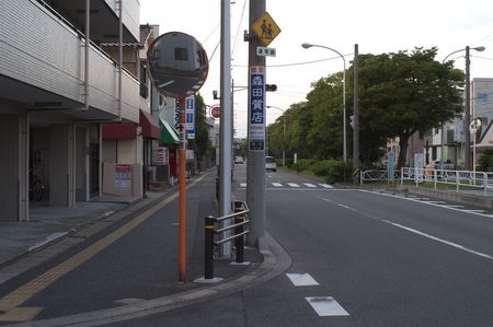 ニッコールレンズ、ミノルタレンズ比較画像