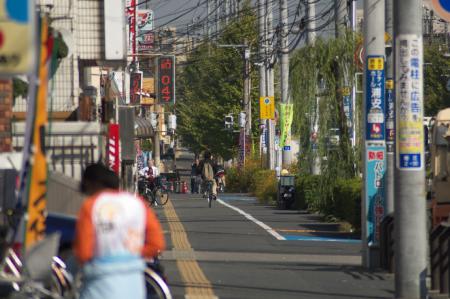 東京写真レンズテストシグマ70-300