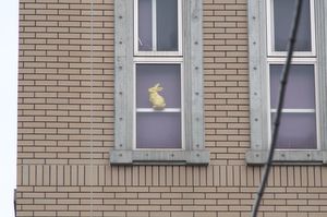 東京写真ニッコール旧レンズ比較画像