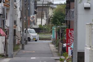 東京写真ニッコール旧レンズ比較画像