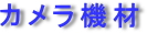 ʐ^̎gp@