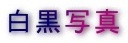 ʐ^ 