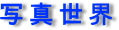 ʐ^̃uO